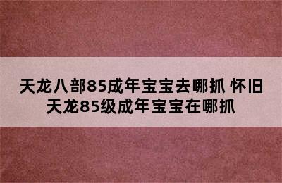 天龙八部85成年宝宝去哪抓 怀旧天龙85级成年宝宝在哪抓